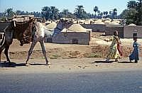 aegypten1989_0274