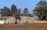 Dendera