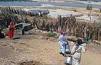 WADI NATRUN: Wasserstelle