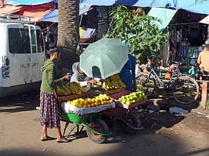P1060659