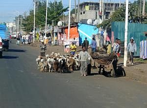 P1060664