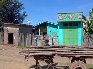 Auf dem Weg nach Konso: Straßenbilder, aus dem fahrenden Auto fotografiert - Beladener Eselskarren P1080031