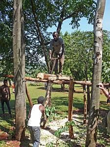 Auf dem Weg nach Konso: Besuch eines Sidama-Hauses - Sägen von Brettern aus einem Stamm mit der Handsäge P1080053