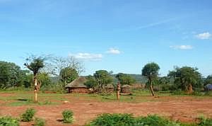 Auf dem Weg nach Konso: Straßenbilder, aus dem fahrenden Auto fotografiert - Rundhütten P1080133