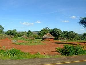 Auf dem Weg nach Konso: Straßenbilder, aus dem fahrenden Auto fotografiert - Rundhütten P1080134