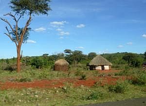 Auf dem Weg nach Konso: Straßenbilder, aus dem fahrenden Auto fotografiert - Rundhütten P1080142