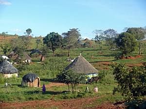 Auf dem Weg nach Konso: Straßenbilder, aus dem fahrenden Auto fotografiert - Rundhütten P1080150