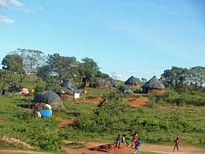 Auf dem Weg nach Konso: Straßenbilder, aus dem fahrenden Auto fotografiert - Rundhütten P1080151