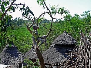 Konso: Dorf Gamule - traditionelle Häuser P1080219
