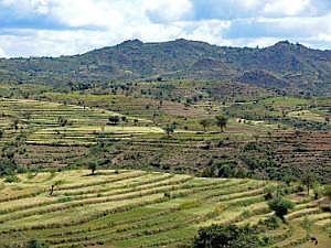 Konso: Terrassenfeldbau P1080817