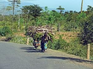 Von Konso nach Key Afer: Frauen schleppen Holz P1080226