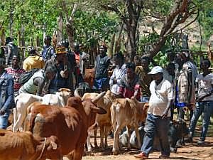 Key Afer: Viehmarkt P1080250