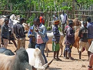 Key Afer: Viehmarkt P1080251