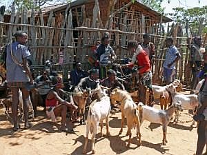 Key Afer: Viehmarkt P1080258