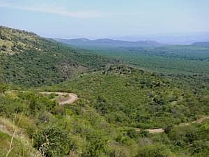 Gebiet der Mursi - Mago-Nationalpark P1080407