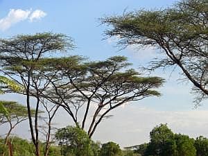 P1080605
