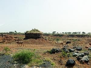 P1090110