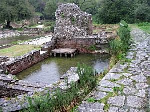 IMG_6564da