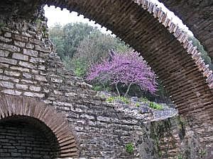IMG_6568da