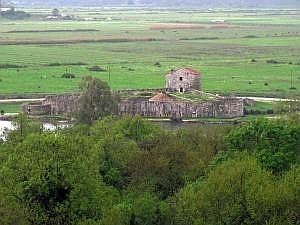 IMG_6619da