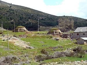 P1280103