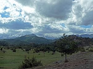 P1280118