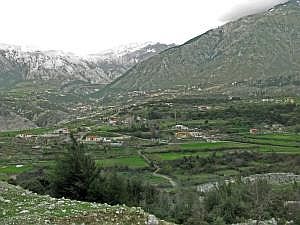 IMG_6511da