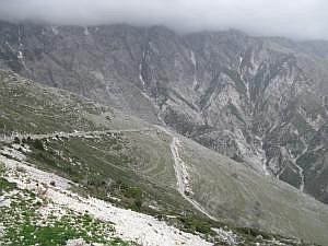 IMG_6539da