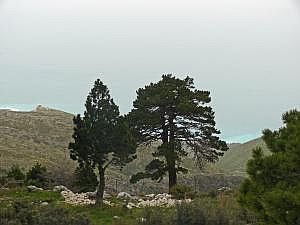 P1270738
