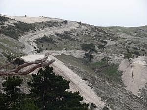 P1270743