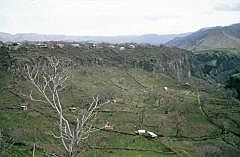 armenien2003_0282