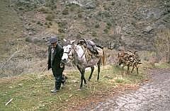 armenien2003_0342