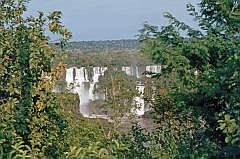 Iguau-Wasserflle