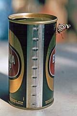 Iguau-Wasserflle: Bier trinkender Schmetterling