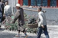 Datong: Huayan-Kloster - Kohleschlepper