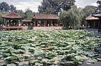 Peking:  Neuer Sommerpalast