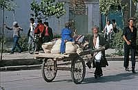 Kashgar: Uigure mit Karren. Das Kind hat den fr chinesische Kleinkinder typischen 