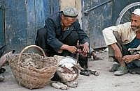 Kashgar: Altstadt - Ein Schaf wird zerlegt