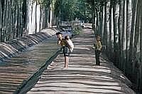Kashgar: Bewsserungskanal