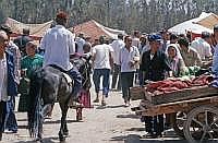 Turfan: Basar