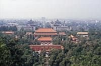 Peking