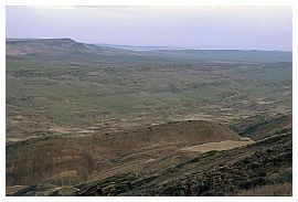 Landschaft bei Udabno