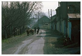 Dorf bei Gori