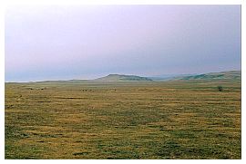 Steppenlandschaft auf der Fahrt zum Kloster Dawit Garedscha