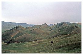 Steppenlandschaft auf der Fahrt zum Kloster Dawit Garedscha