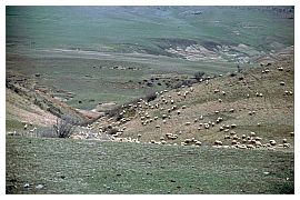 Steppenlandschaft auf der Fahrt zum Kloster Dawit Garedscha