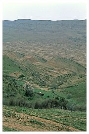 Steppenlandschaft auf der Fahrt zum Kloster Dawit Garedscha