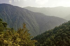 japan1984_1153
