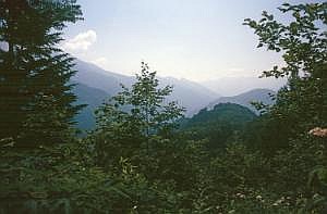 japan1984_1155