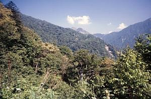 japan1984_1156